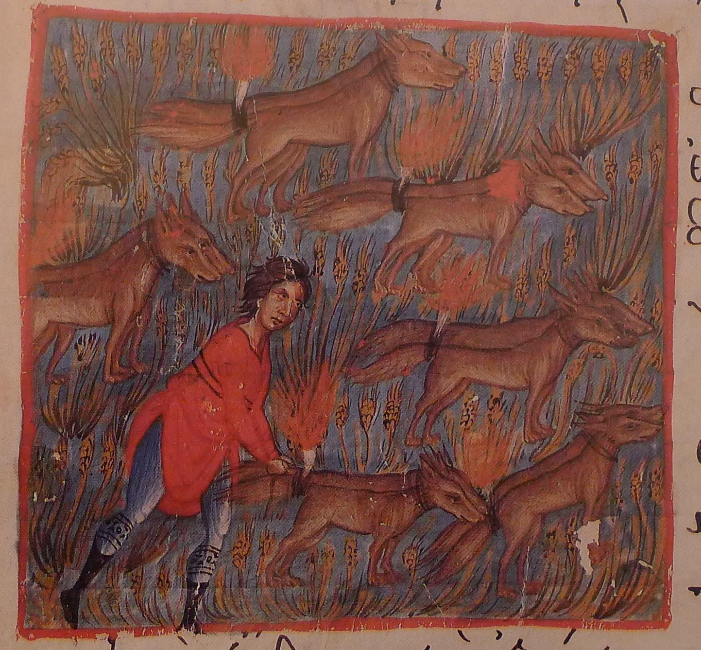 Ο Σαμψών και οι αλεπούδες, Οκτάτευχος Βατοπεδίου 602, Άγιον Όρος.