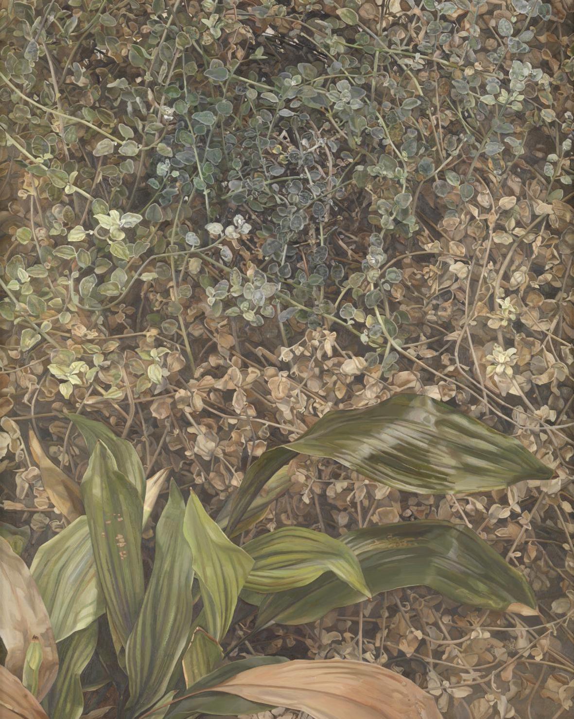 Lucian Freud, Δυο φυτά, Tate Modern, Λονδίνο.