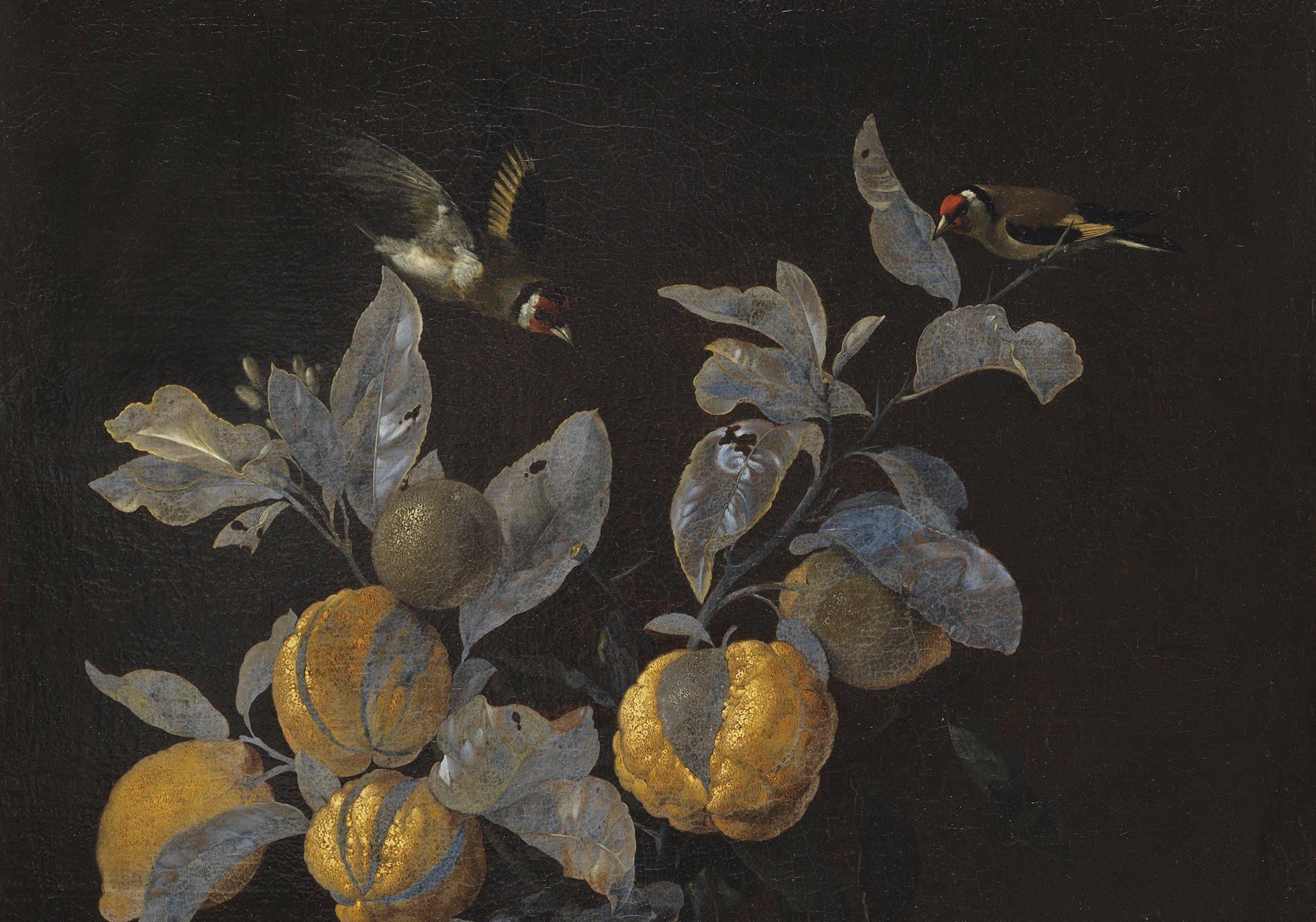 Willem van Aelst, Νεκρή φύση με φρούτα (λεπτομέρεια), Museo Nacional Thyssen-Bornemisza, Μαδρίτη.