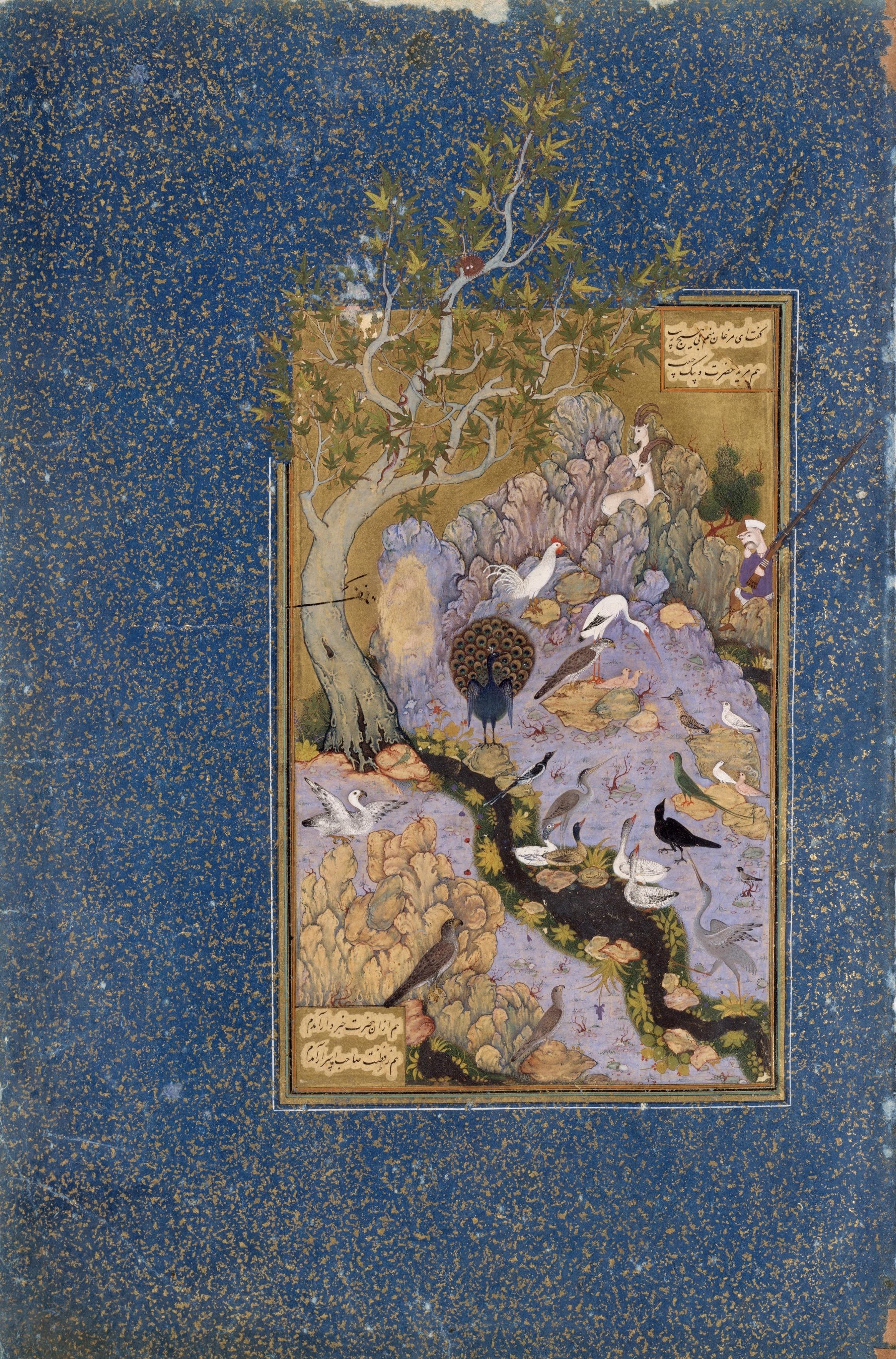Χαμπίμ Αλάχ του Σαβά, Το συμβούλιο των πουλιών, στο: Φαρίντ αλ-Ντιν, Η γλώσσα των πουλιών, Metropolitan Museum of Art, Νέα Υόρκη.