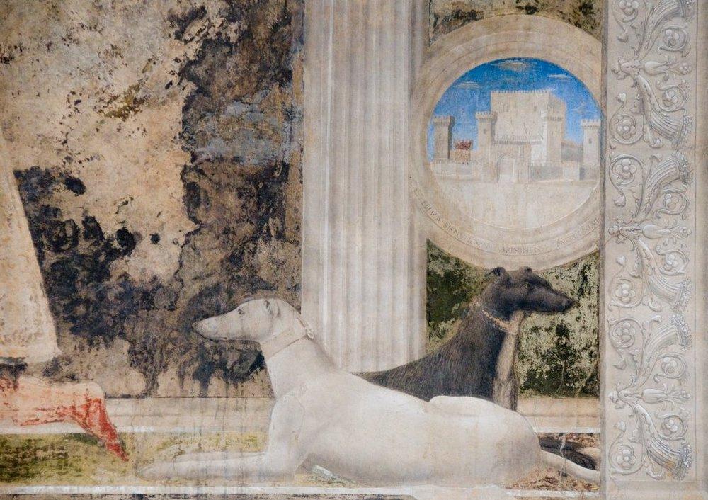 Piero della Francesca, Δύο σκύλοι, λεπτομέρεια από την τοιχογραφία Η δέηση του Σιγισμόνδου Παντόλφο Μαλατέστα στον άγιο Σιγισμόνδο, Tempio Malatestiano, Ρίμινι.