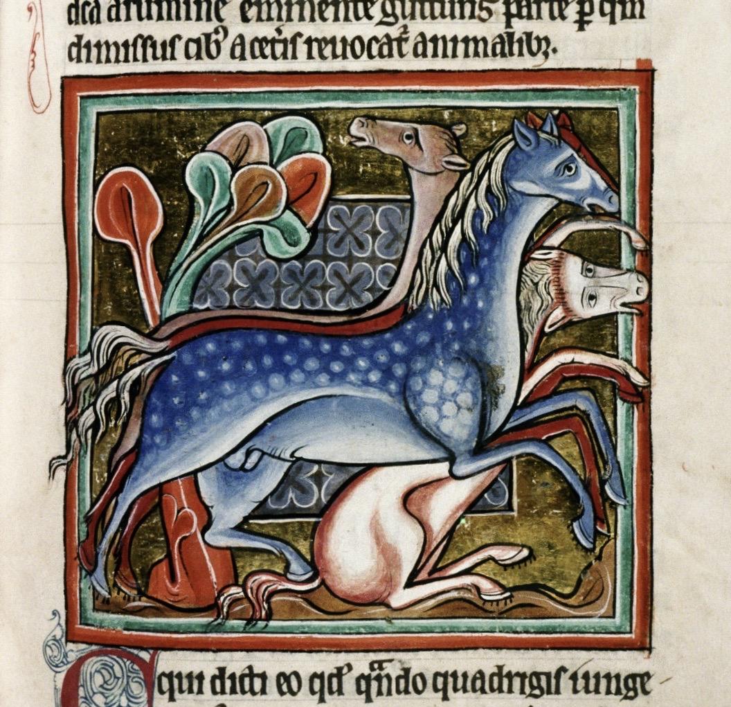 Τέσσερα άλογα, Bestiarium Bodl. 764,  Bodleian Library, Οξφόρδη.